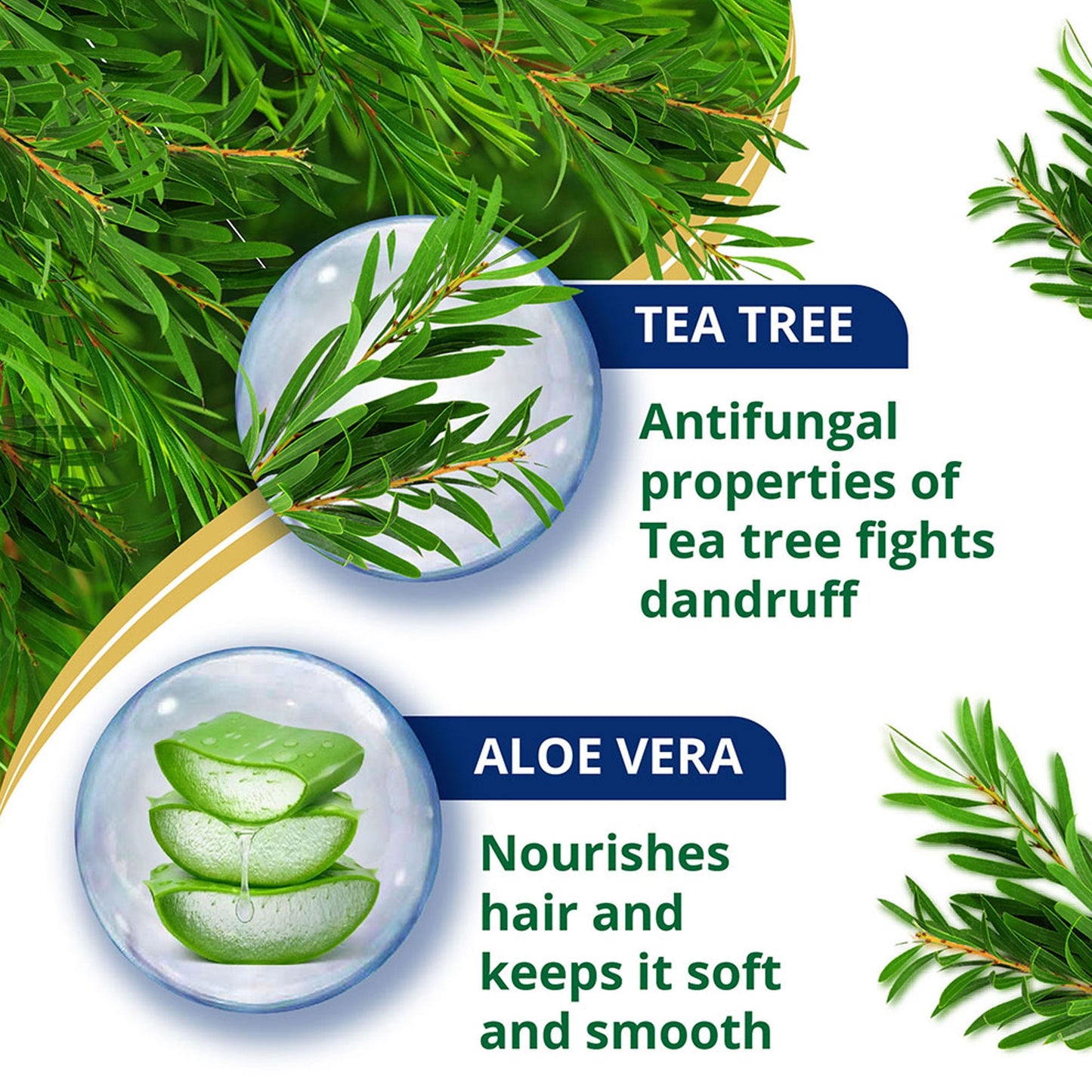 Anti-Dandruff Tea Tree Conditioner 80ml