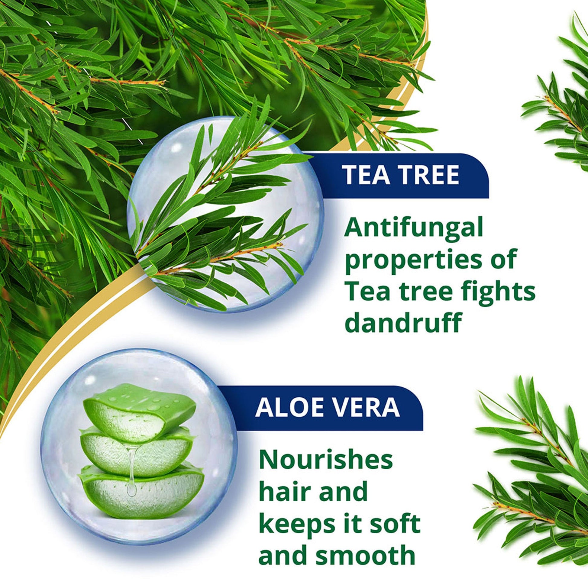 Anti-Dandruff Tea Tree Conditioner 80ml