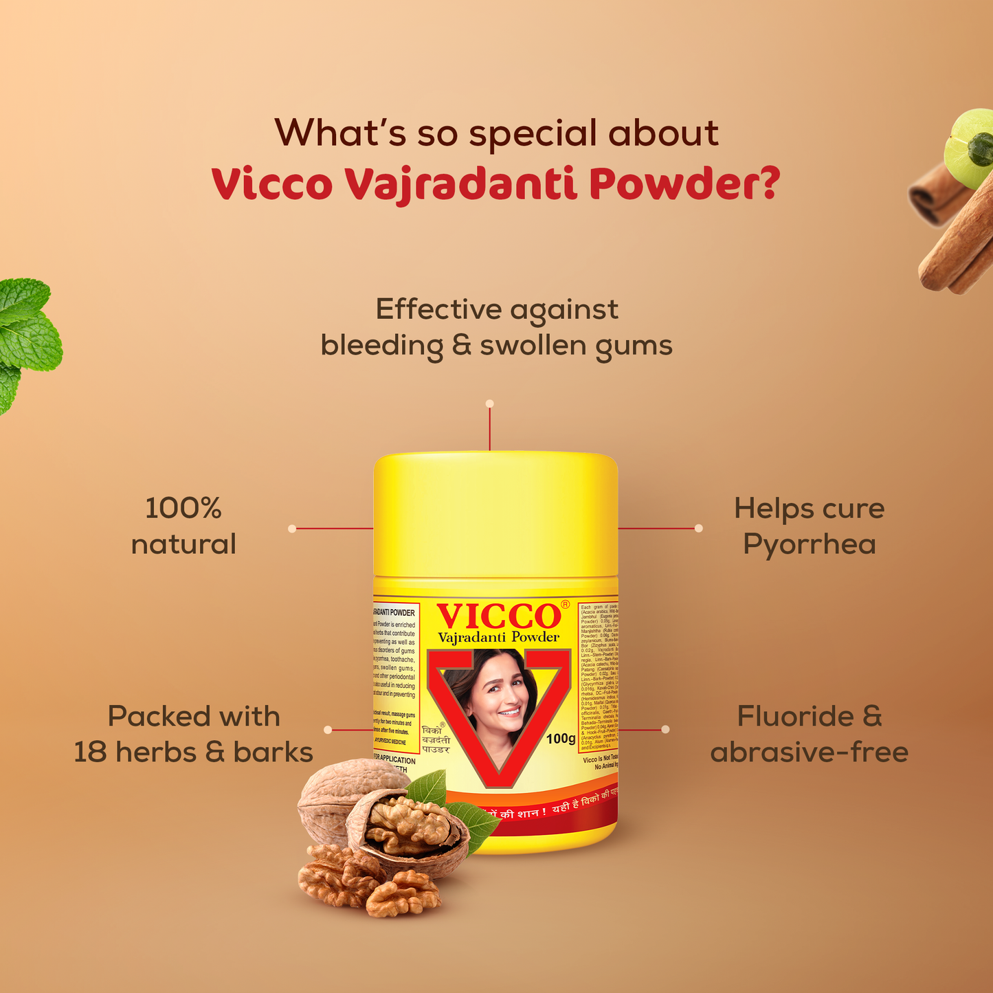 【Vicco】 Vajradanti Tooth Powder｜ヴァジュラダンティ トゥースパウダー｜100g