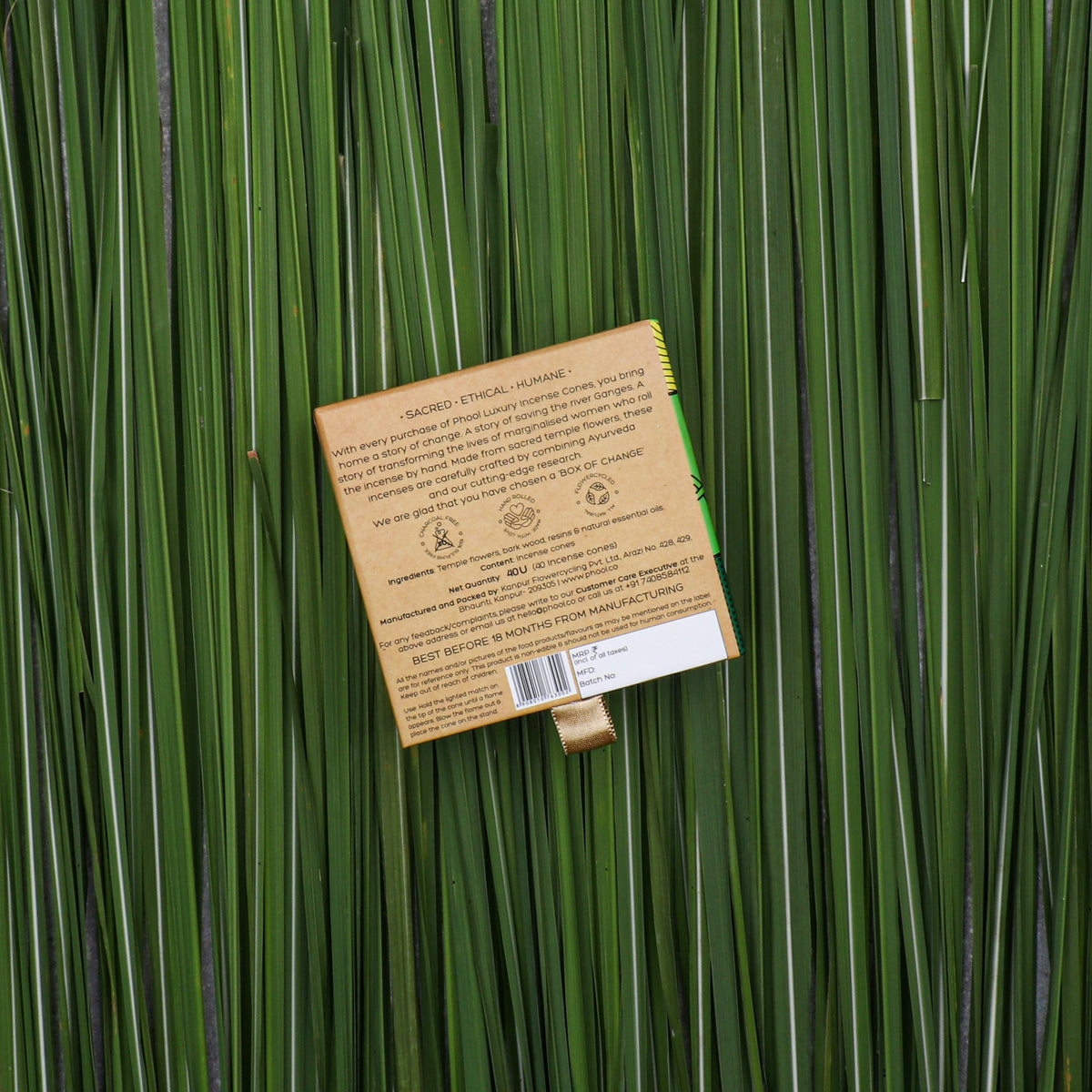 【Phool】 Natural Incense Cones - Citronella｜ナチュラルインセンスコーン シトロネラ