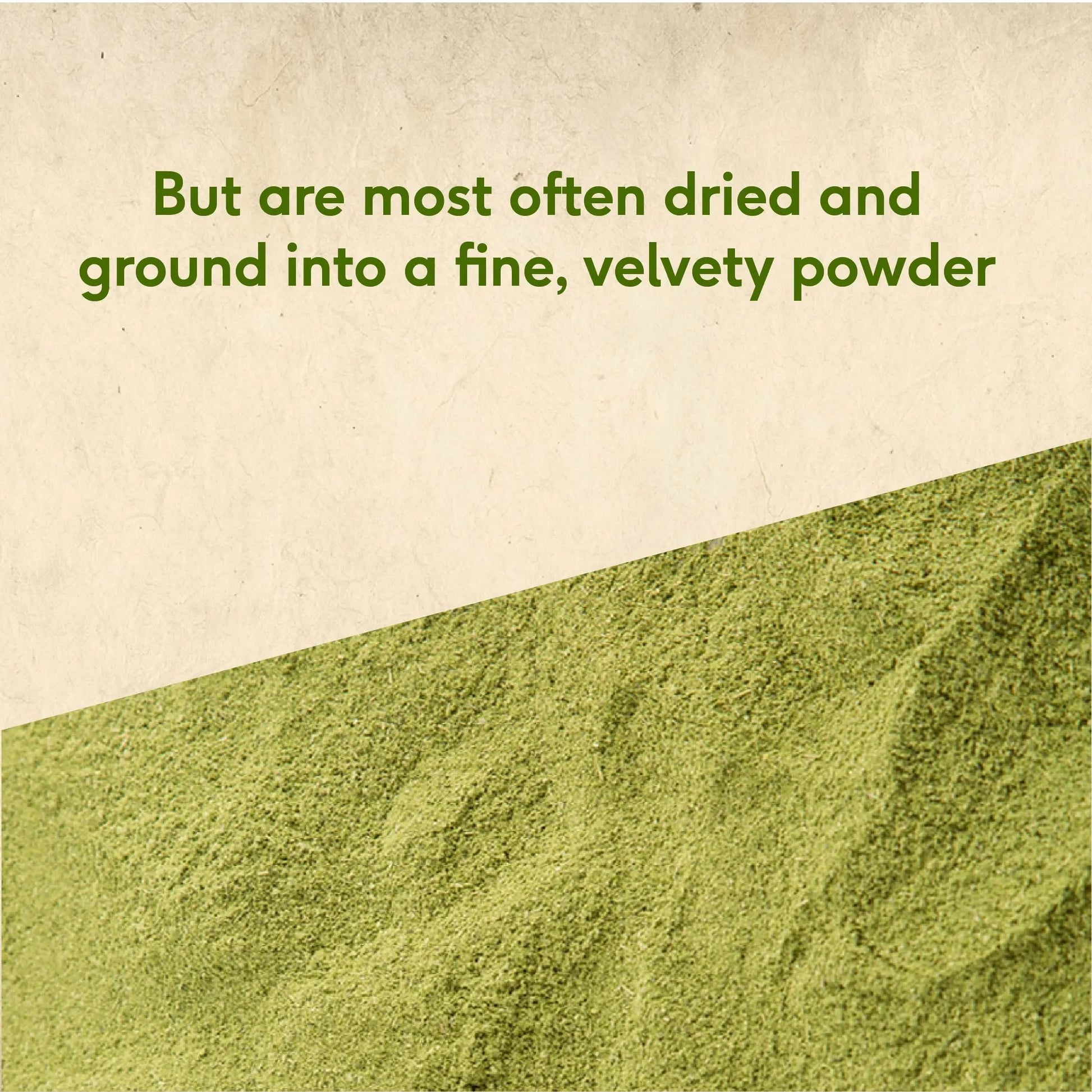 Moringa Powder, 100 g 100g