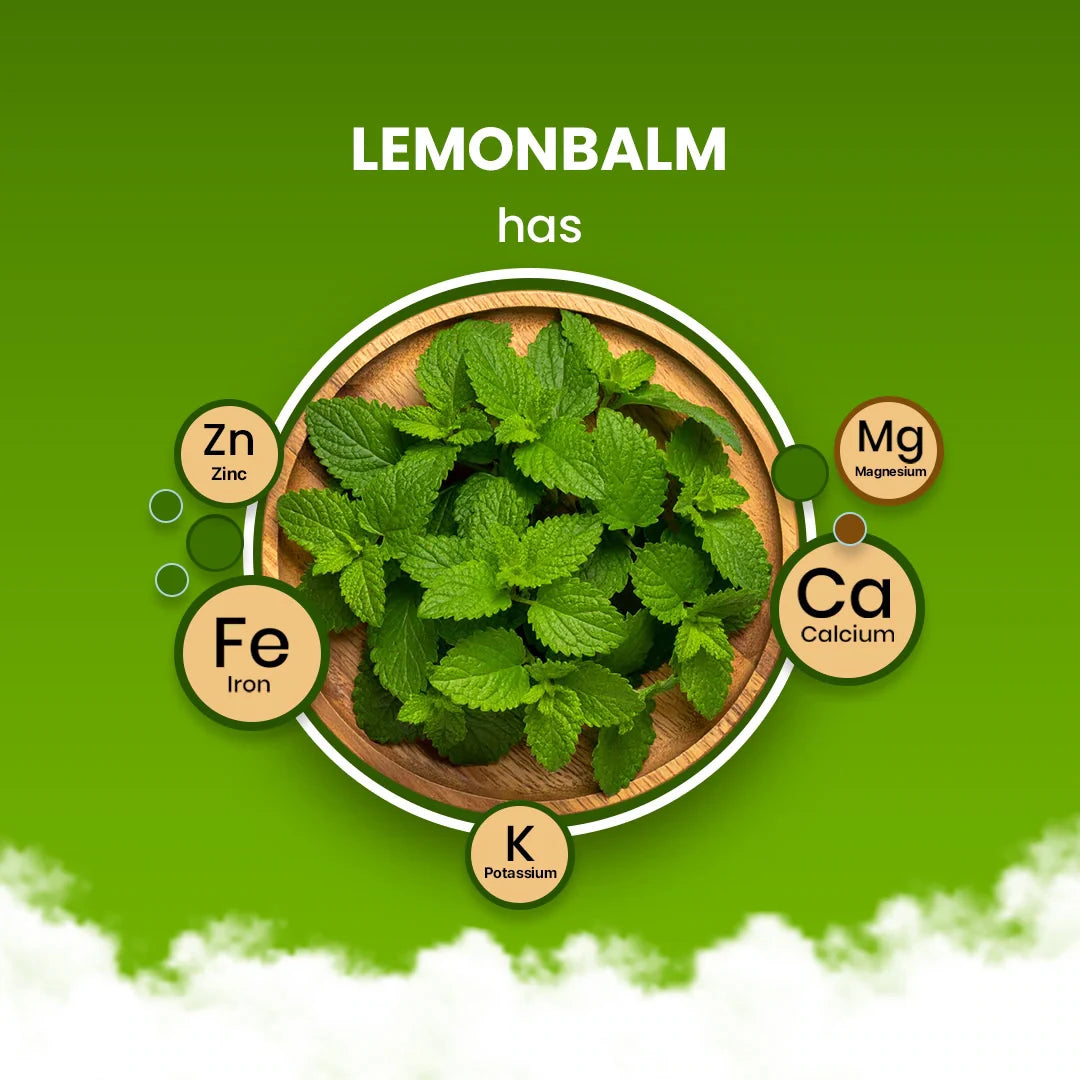 Lemon Balm Herbal Tea- 100g 100G