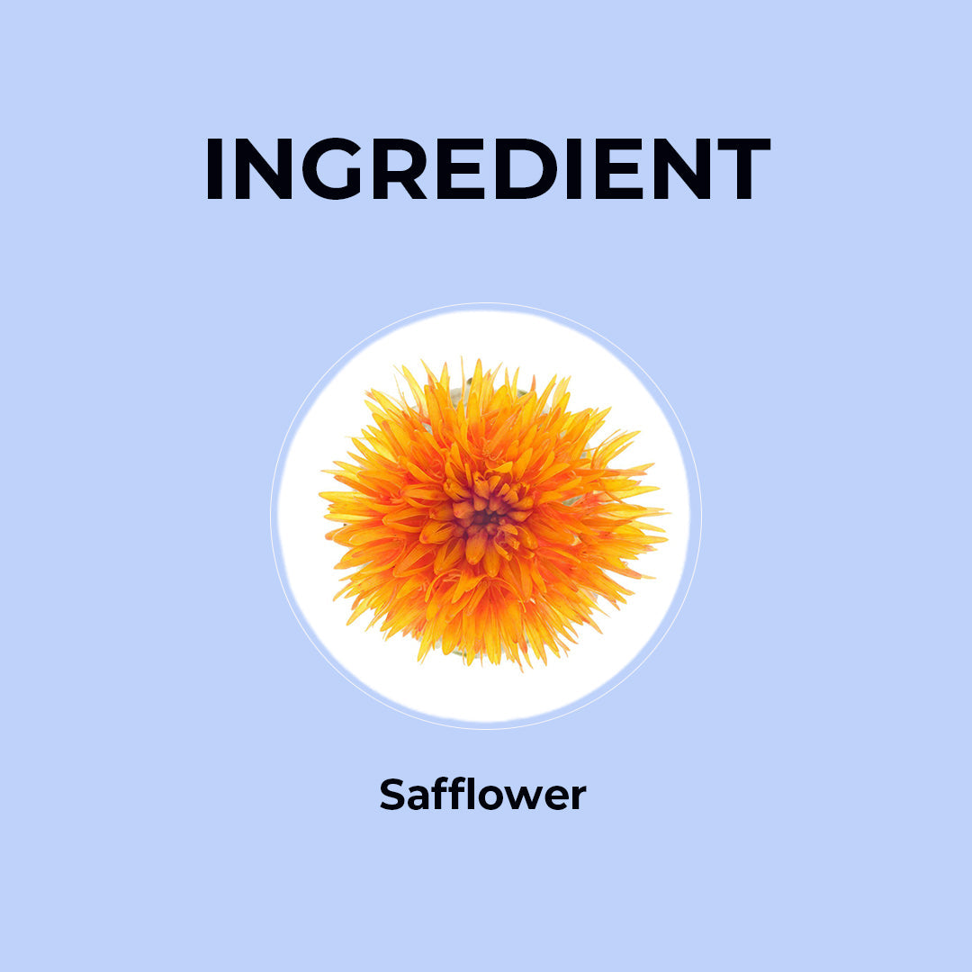 Safflower Herbal Tea - 20g | Pack of 2 20G