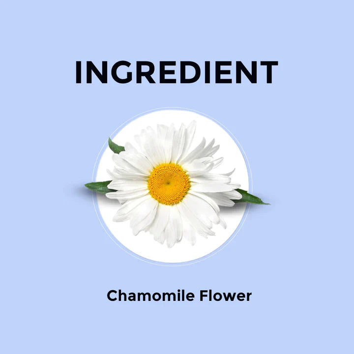 Chamomile Flower Herbal Tea - 30g (Pack of 2) 30G