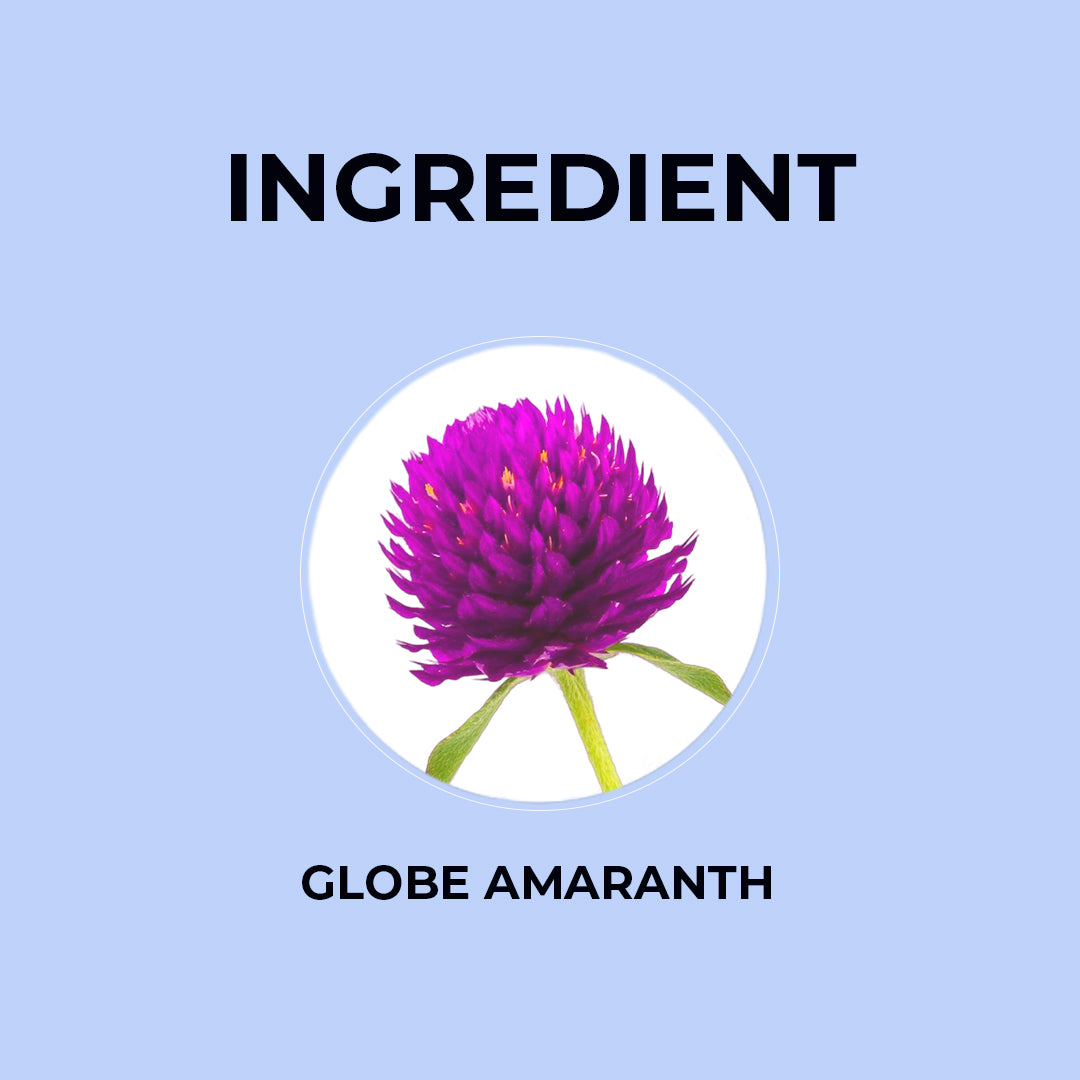 Globe Amaranth Herbal Tea - 20g | Pack of 2 20G