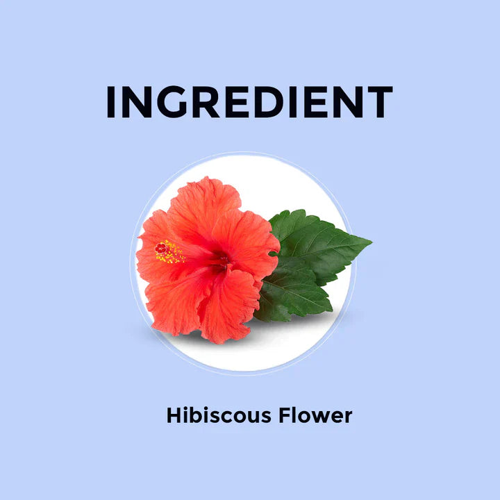 Hibiscus Herbal Tea  - 100g (100 Cups) 100G