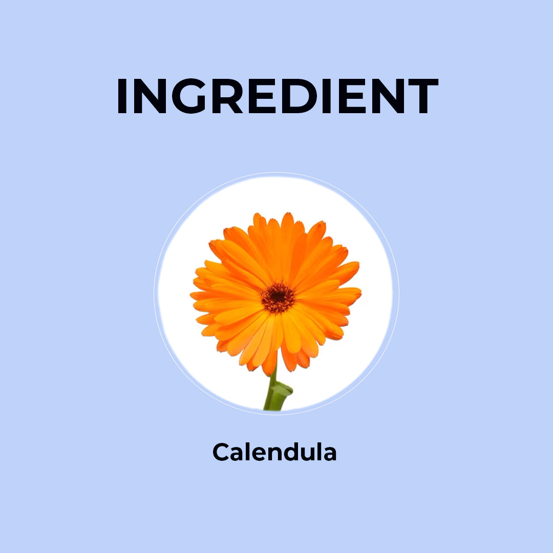 Calendula Herbal Tea - 20g | Pack of 2 20G