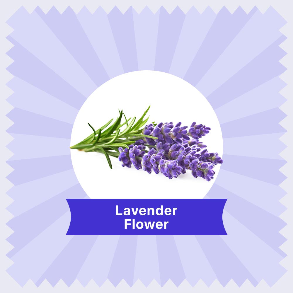 Lavender Herbal Tea  - 60g 60G