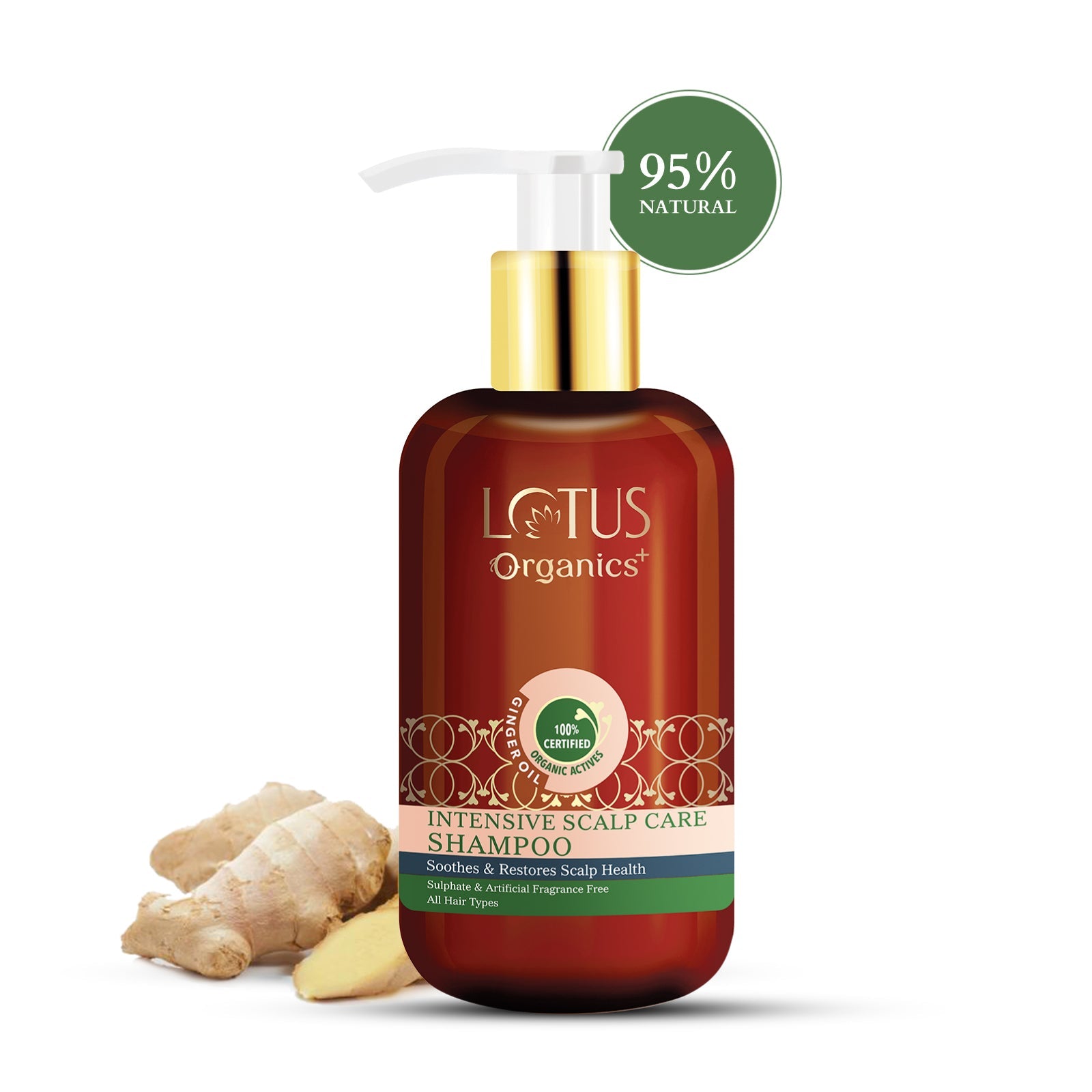 Organics+ Intensive Scalp Care Shampoo 