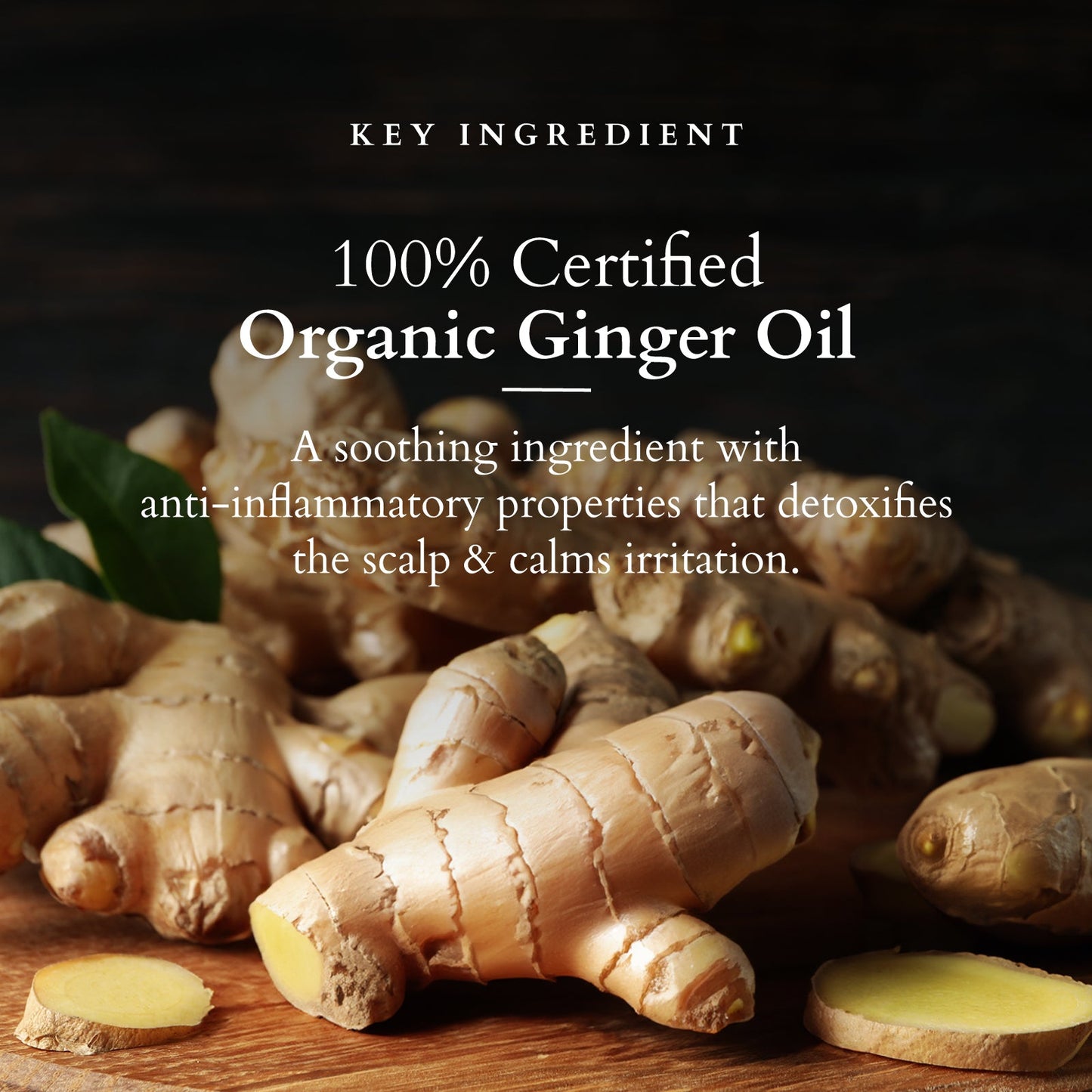 Organics+ Intensive Scalp Care Shampoo 