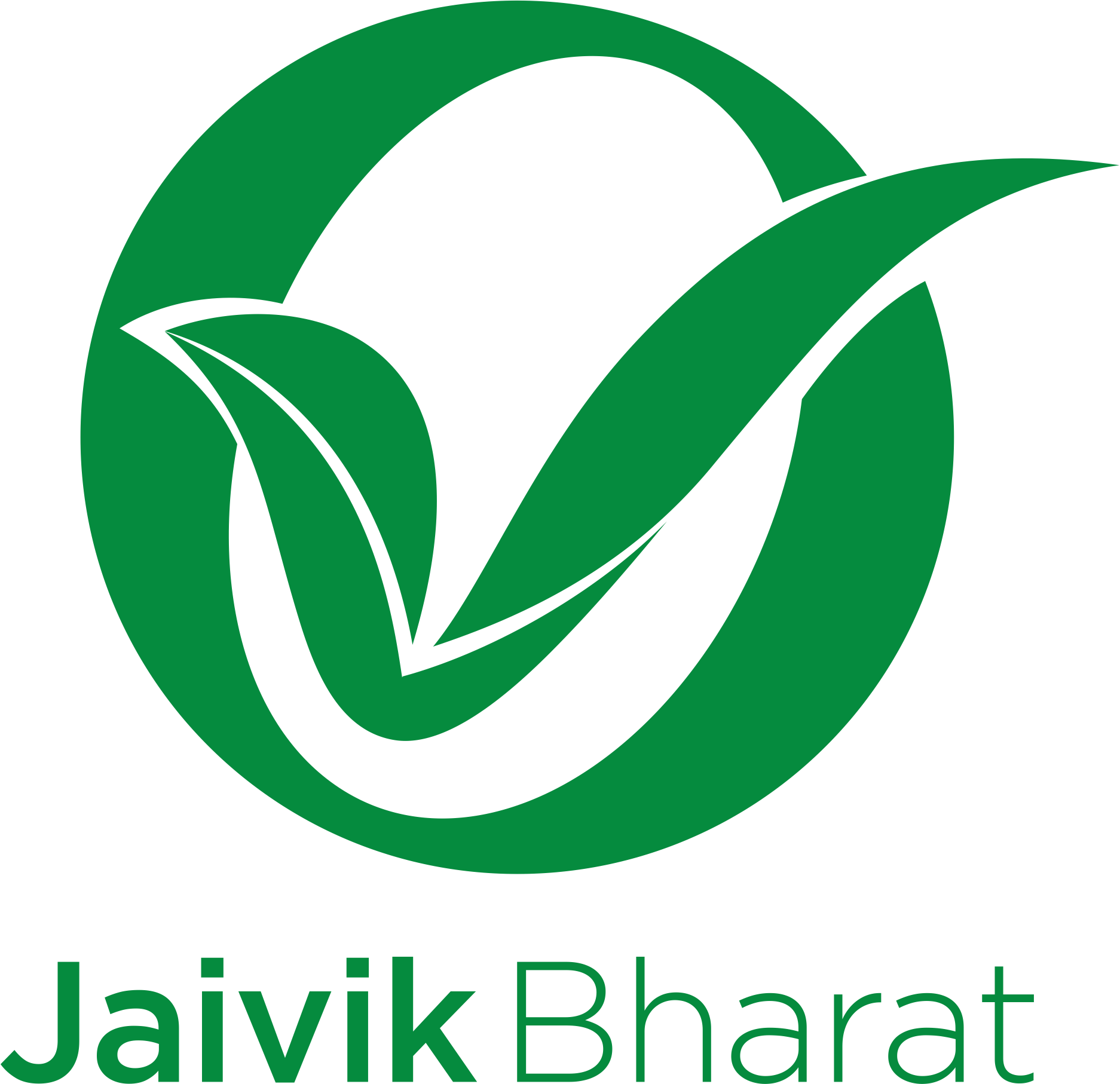White Urad Dal Split, 1 kg 1kg