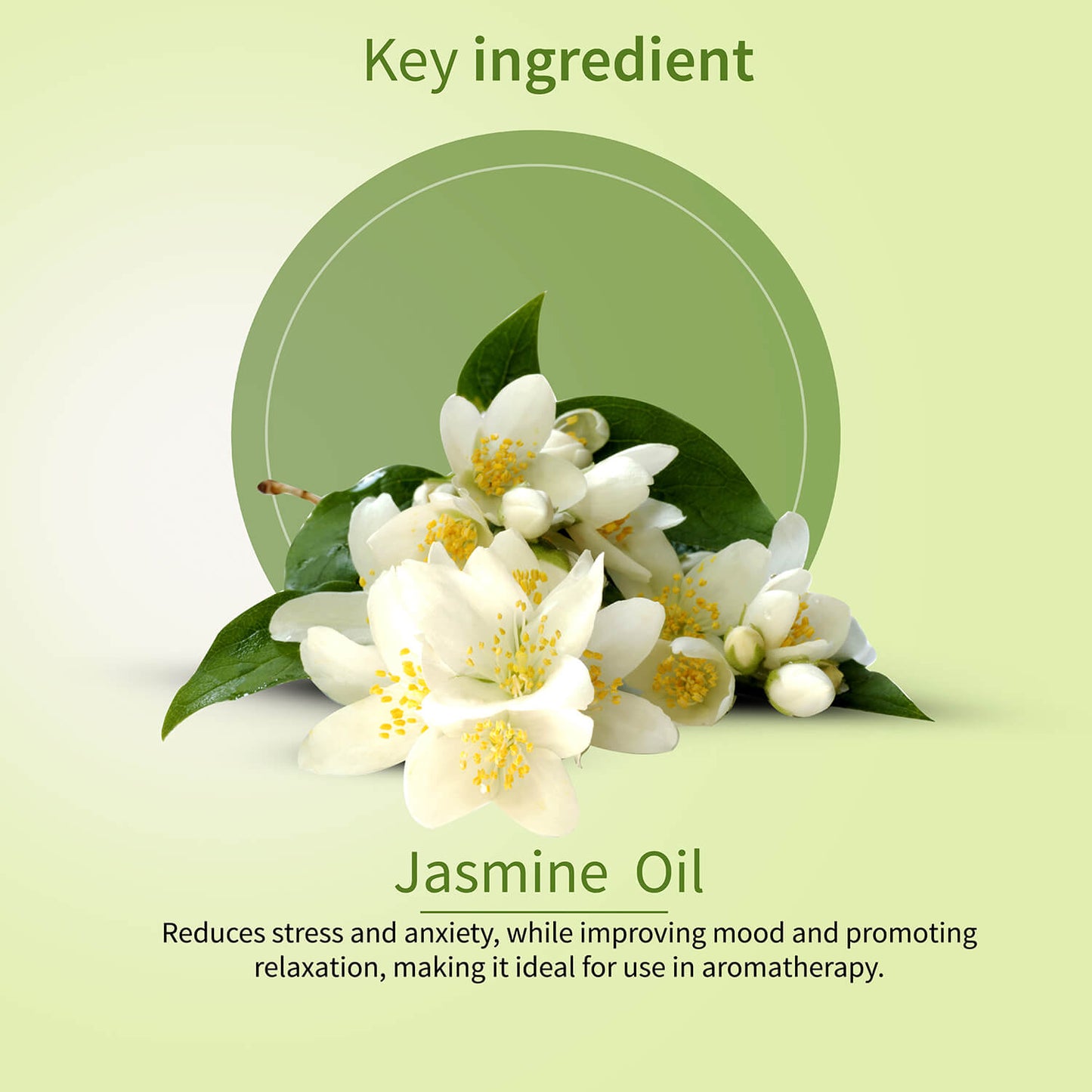 100% Pure Jasmine Essential Oil | Therapeutic-Grade | Promotes Calmness, Peaceful State of Mind & Mood Uplift | Steam-Distilled Jasmine Oil | 15 ml 15ml