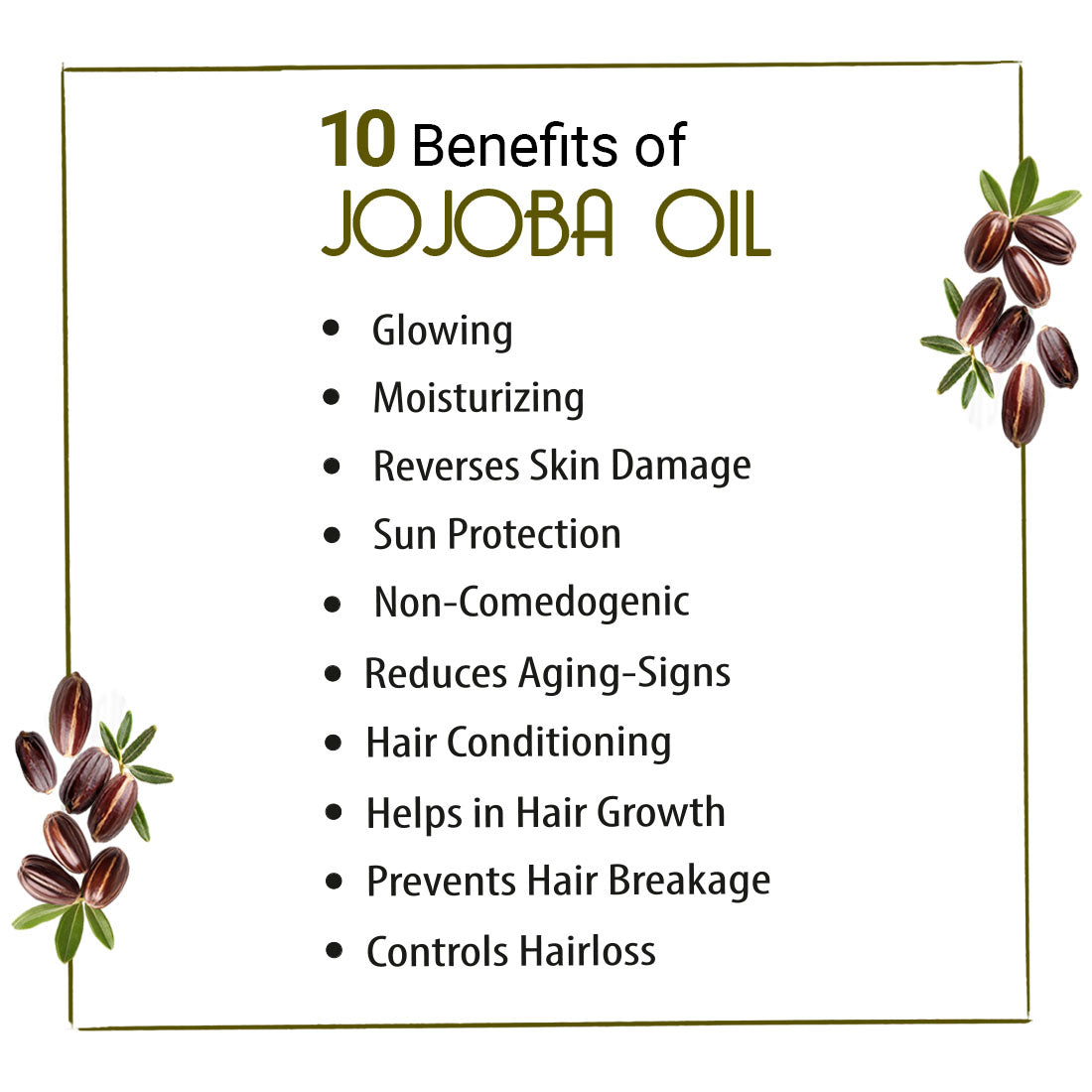 Jojoba Oil for Face, Body & Hair – Moisturizing, Anti-Aging, Breakout & Sunburn Care, Hair Growth with Flavonoids, Vitamin A & E 100ml