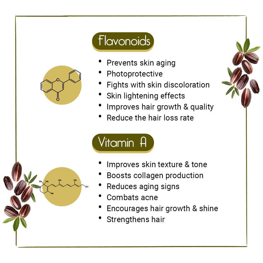 Jojoba Oil for Face, Body & Hair – Moisturizing, Anti-Aging, Breakout & Sunburn Care, Hair Growth with Flavonoids, Vitamin A & E 100ml