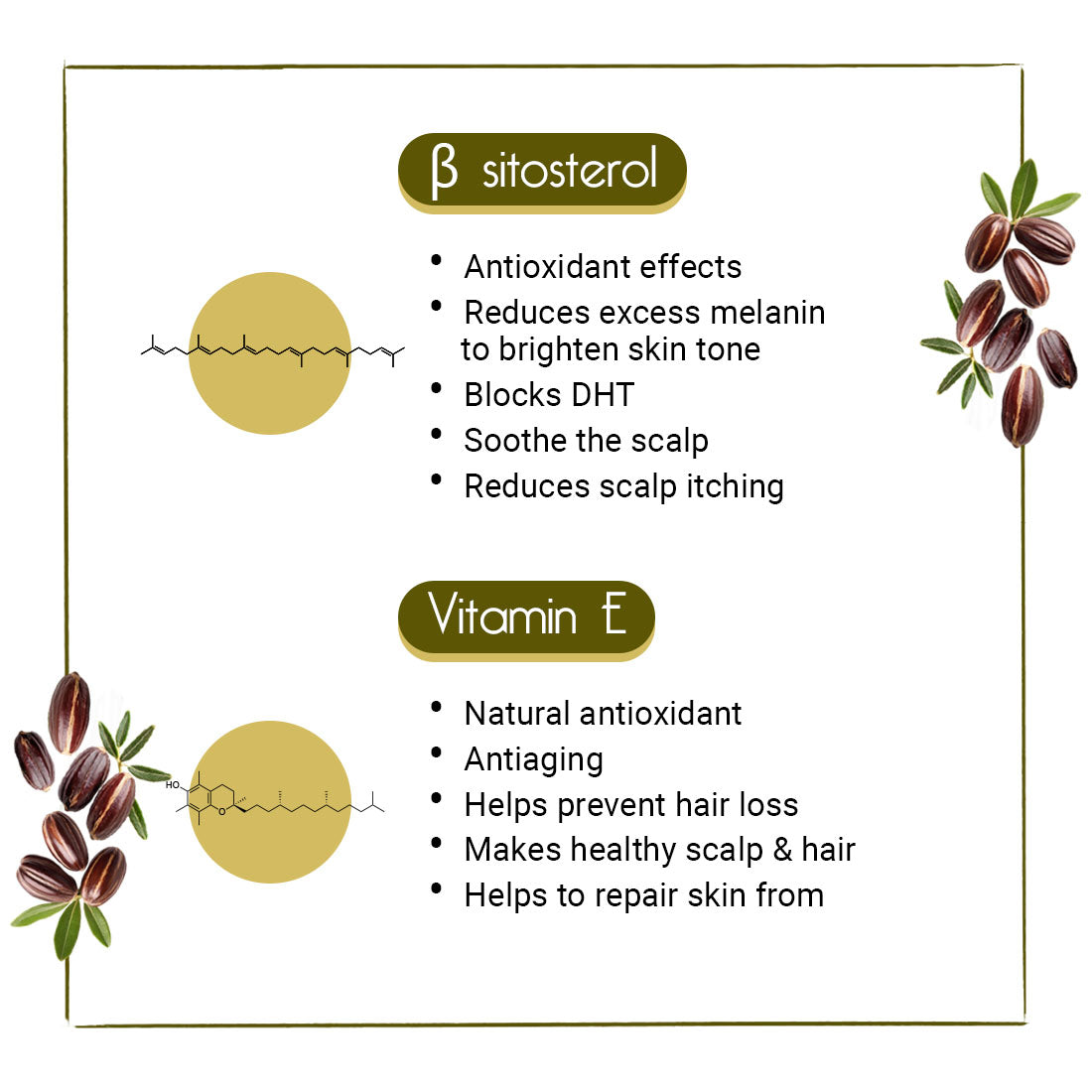 Jojoba Oil for Face, Body & Hair – Moisturizing, Anti-Aging, Breakout & Sunburn Care, Hair Growth with Flavonoids, Vitamin A & E 100ml