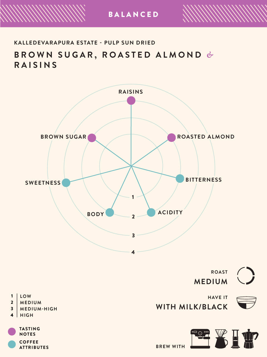 Kalledevarapura Estate - Pulp Sun Dried Ground for Pour Over 1kg