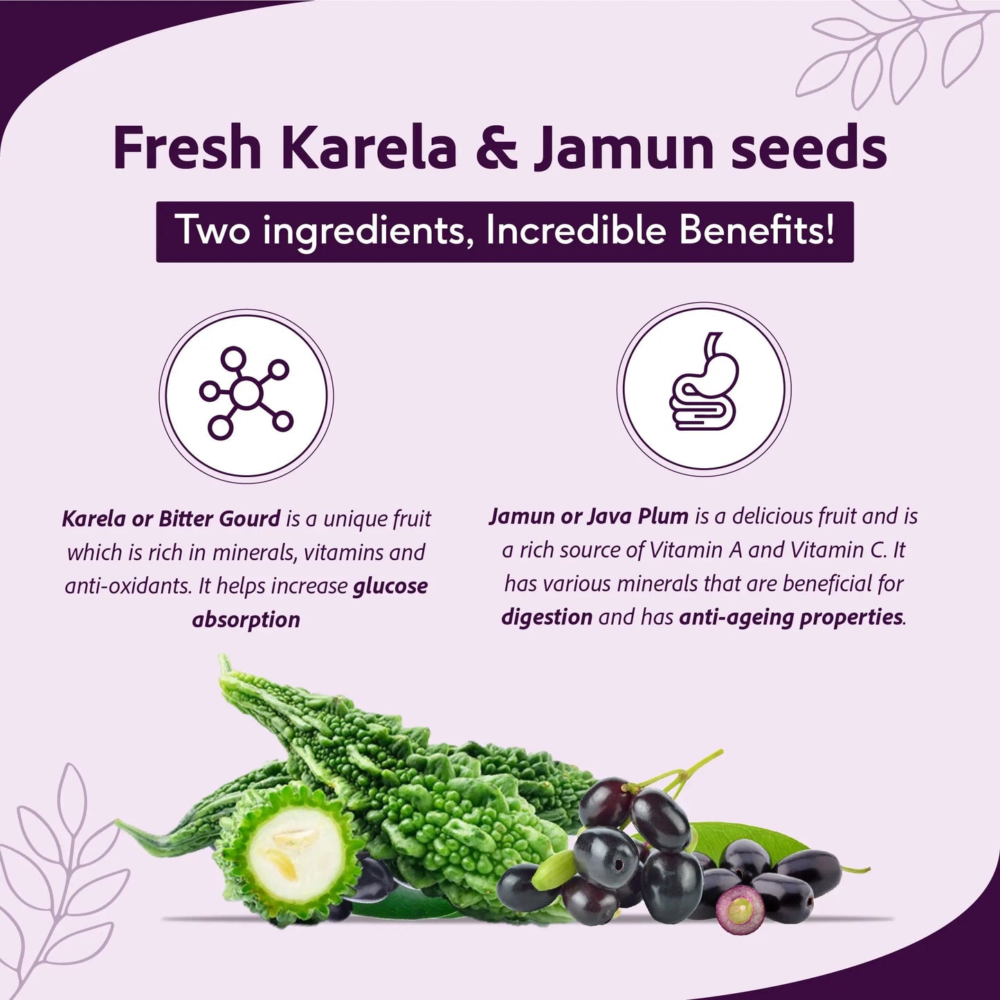 Karela Jamun Juice - Maintain Blood Sugar | Pancreatic Support, Improves Metabolism, Reduces Fatigue | 1 L 1L