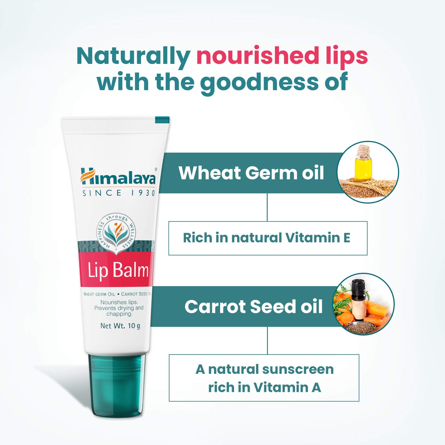 Lip Balm 10g