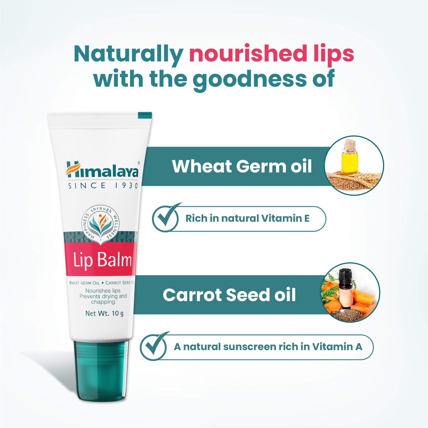 Lip Balm 10g
