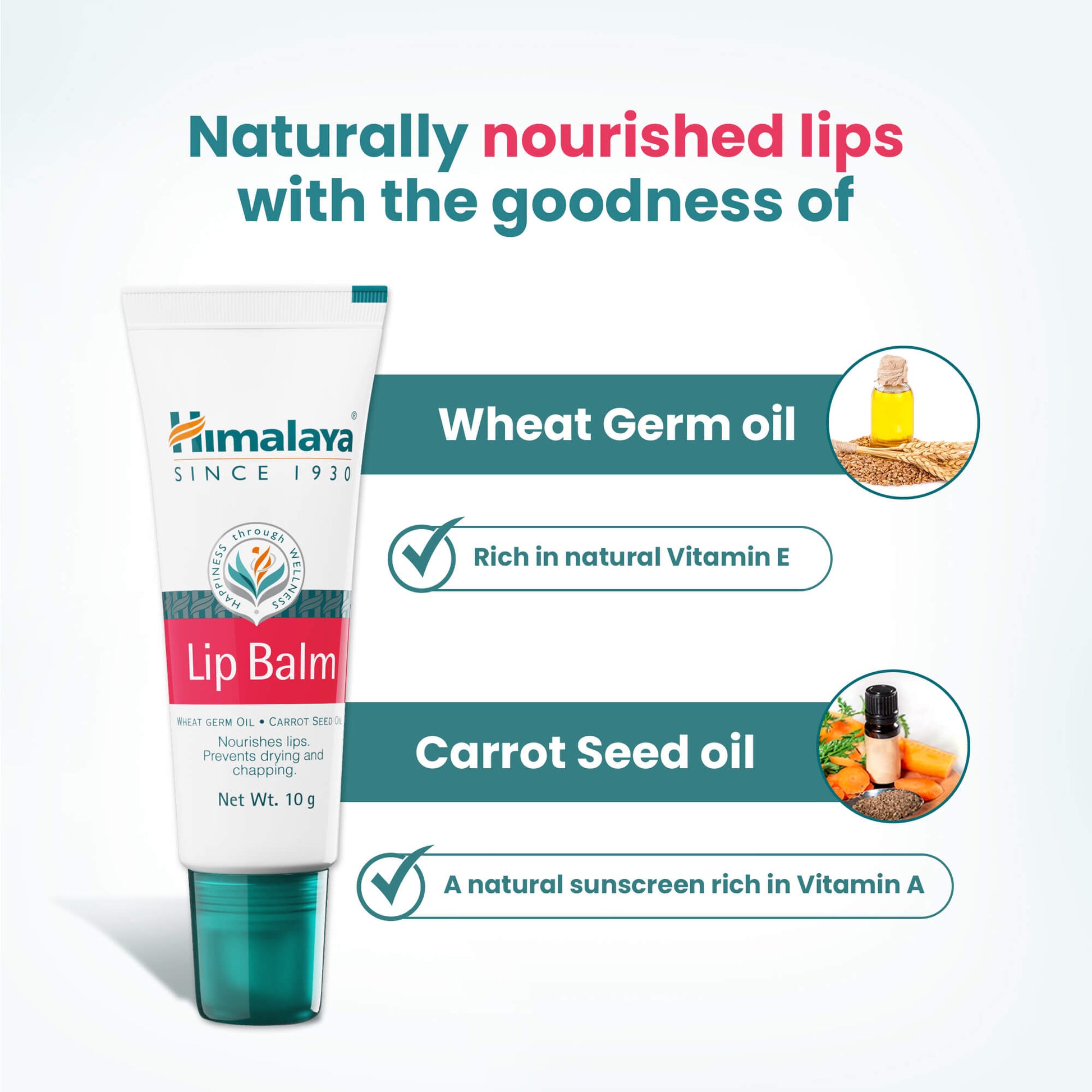 Lip Balm 10g