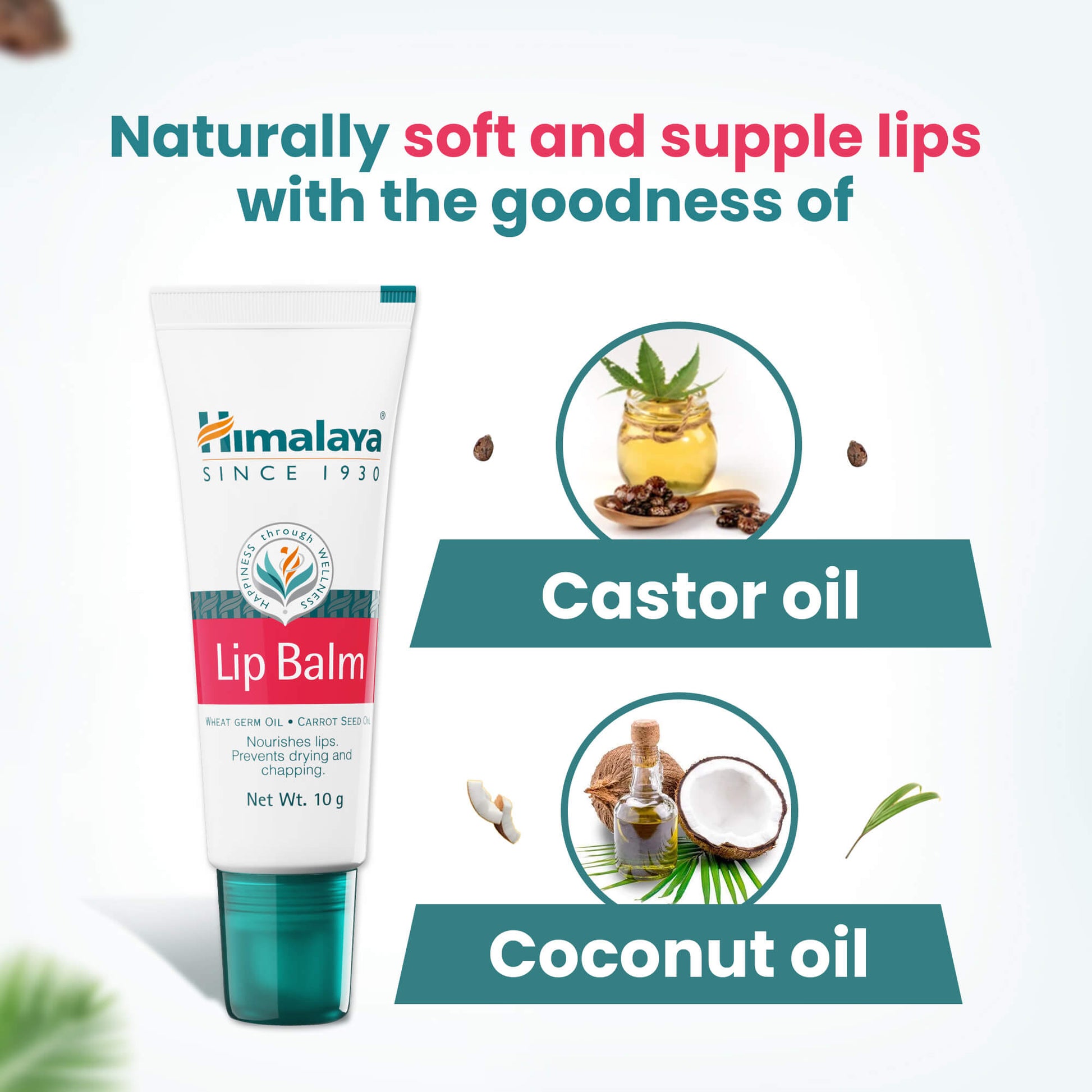 Lip Balm 10g