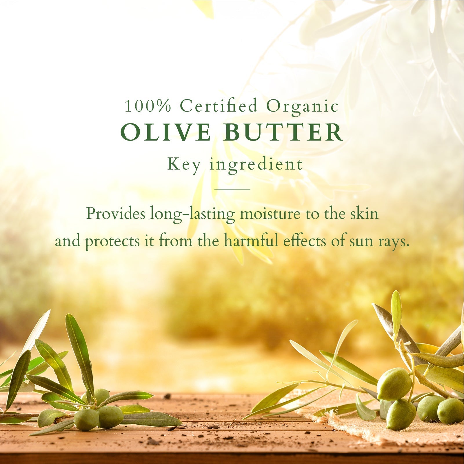 Organics+ Mystic Indulgence Body Lotion SPF 20 