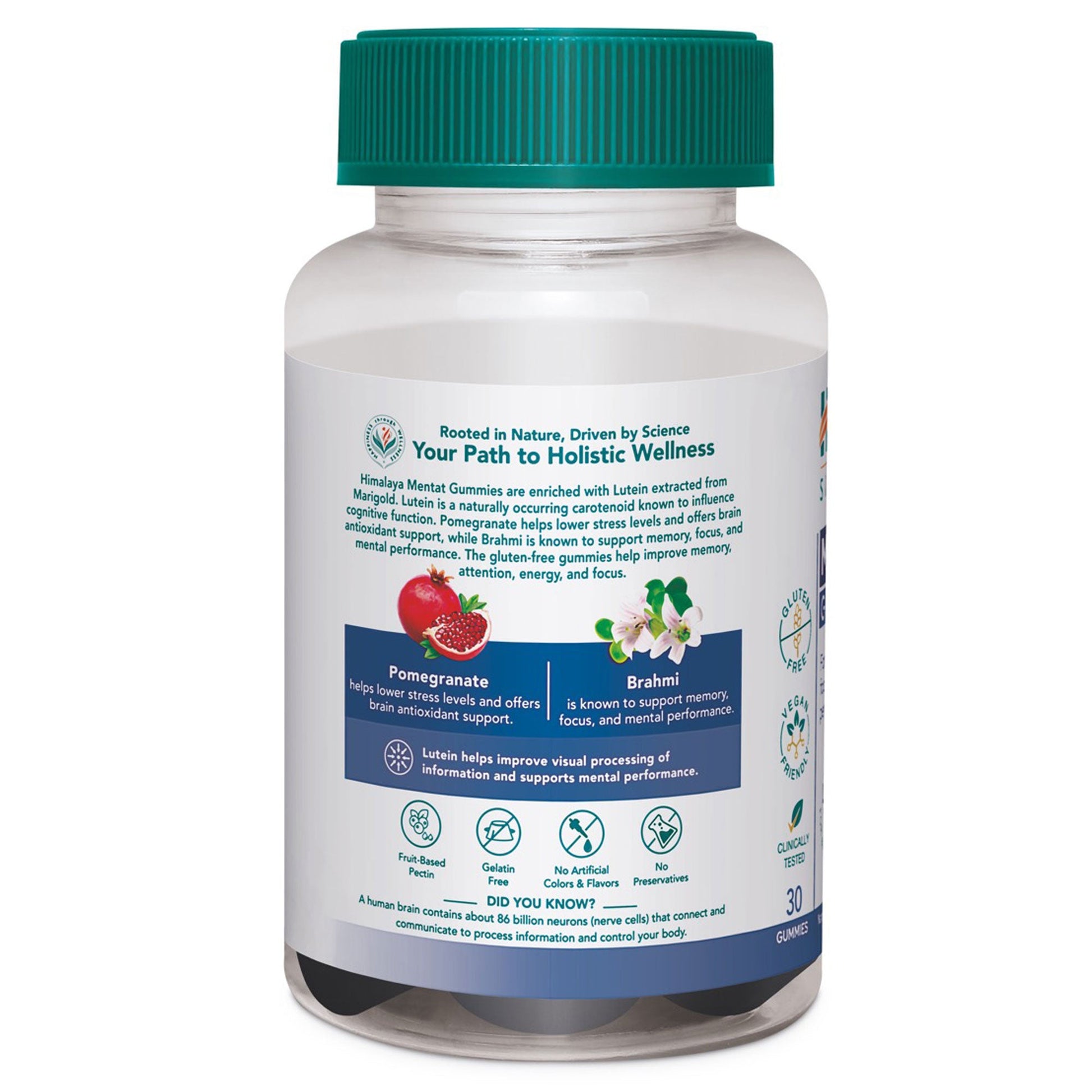 Himalaya Mentat Gummies 30's