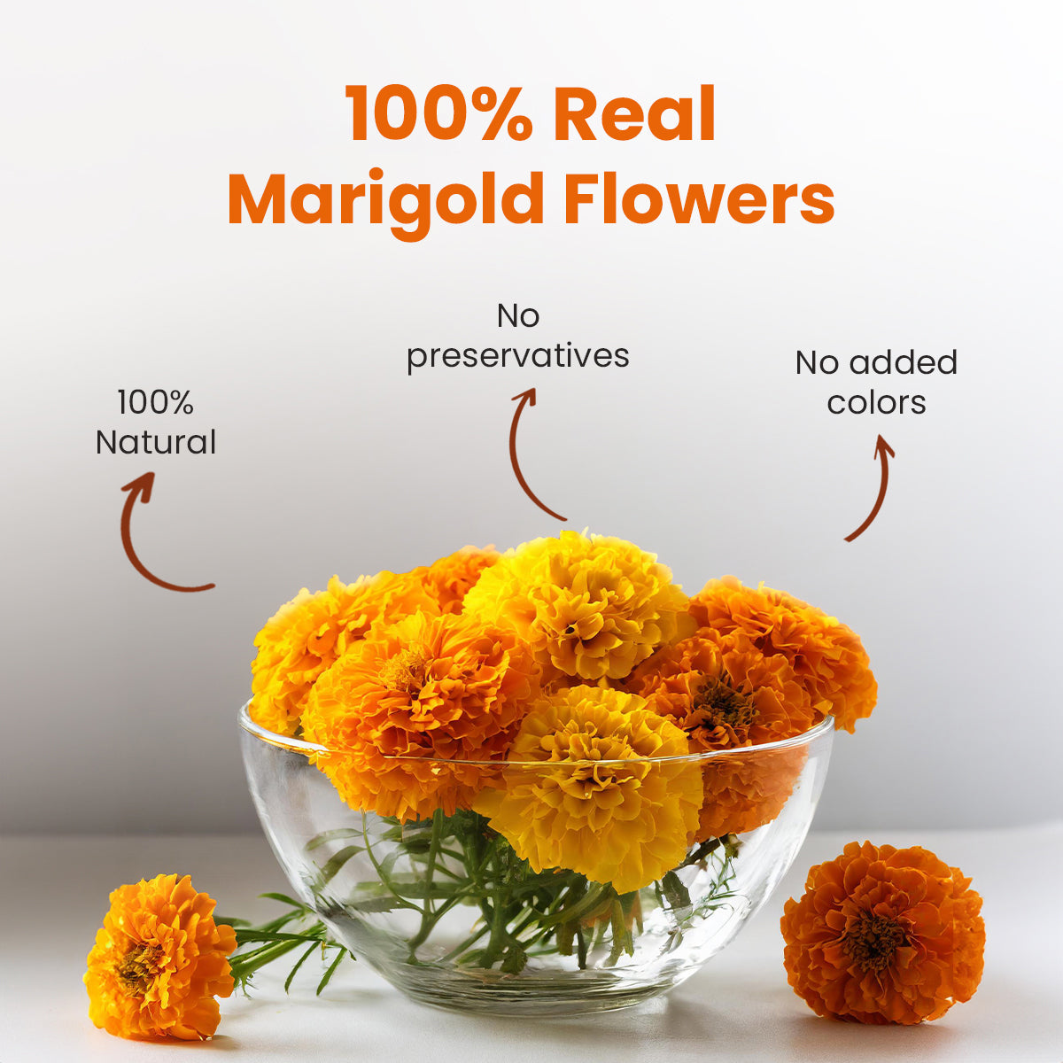 Marigold Herbal Tea - 25g| Pack of 2 25G