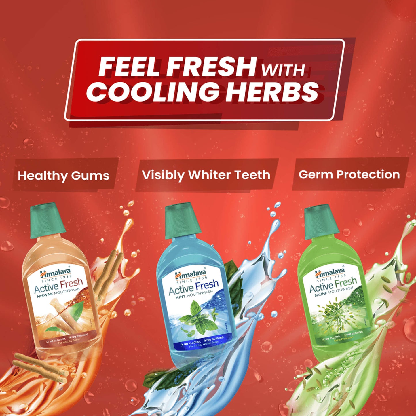 Himalaya Active Fresh Miswak Mouthwash 215ml
