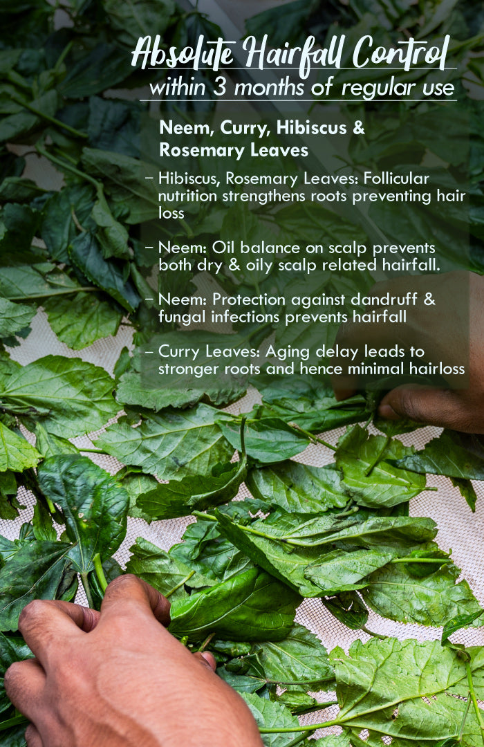 Tri-Leaf Rosemary Monsoon Hair Oil 100ml