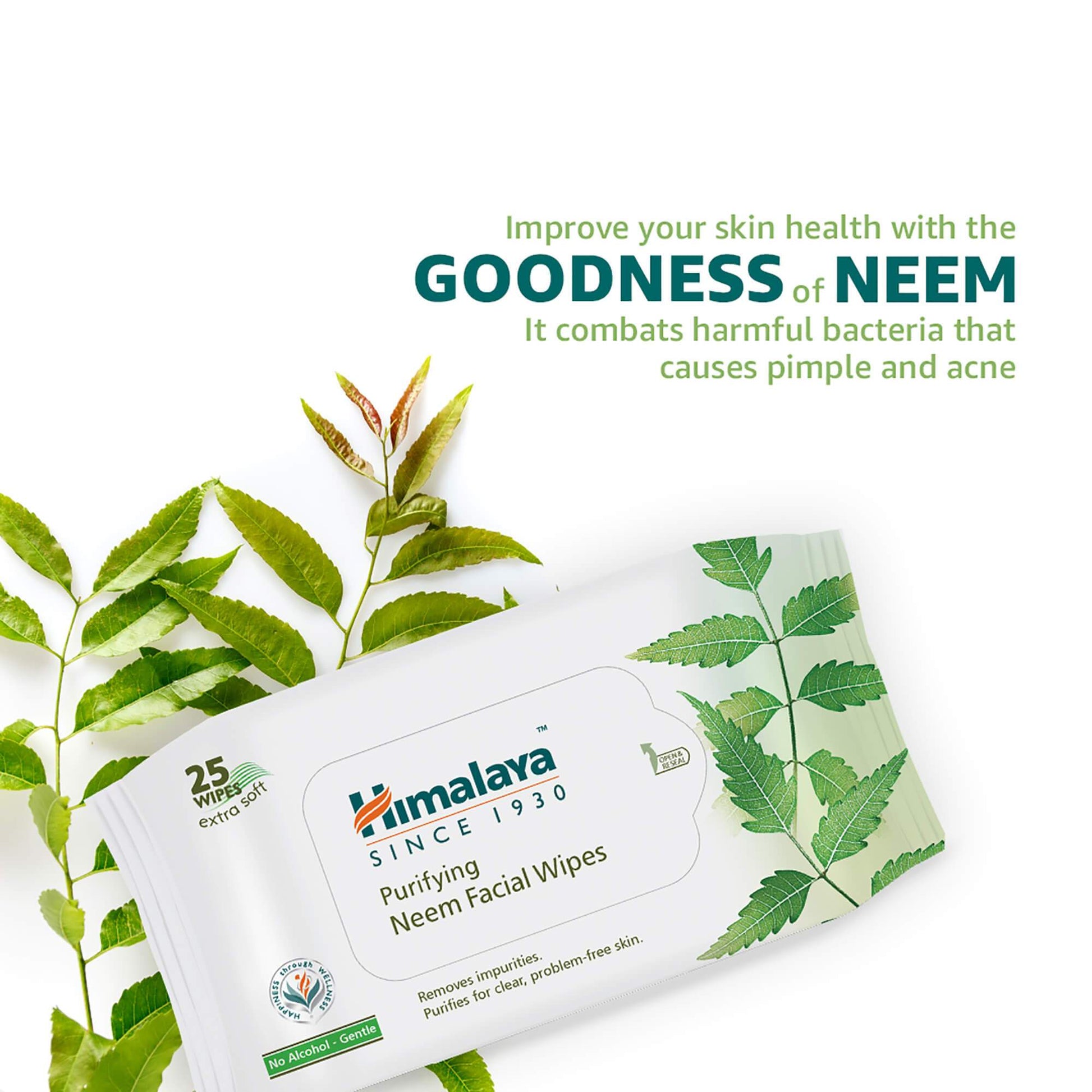 Purifying Neem Facial Wipes 10's