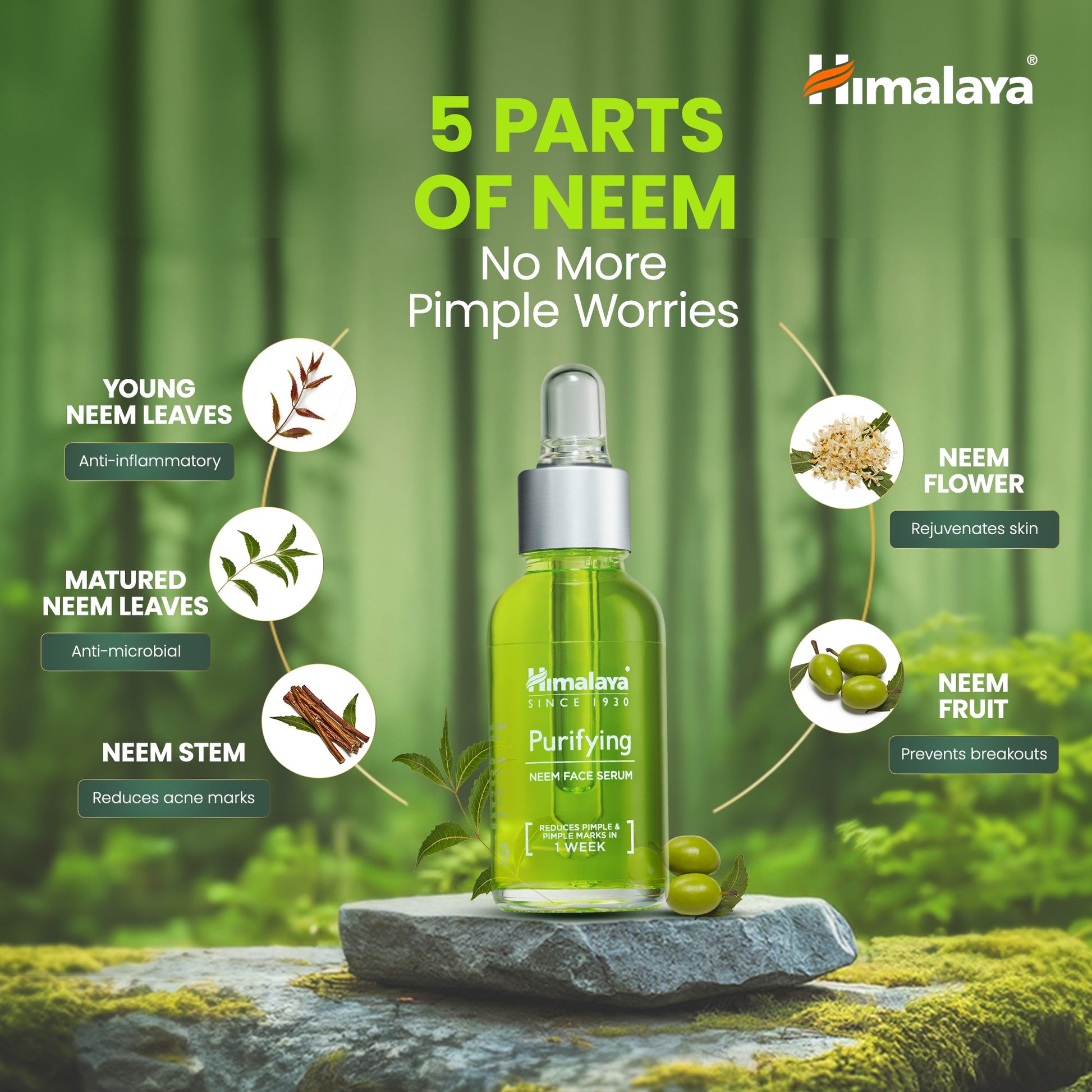 Purifying Neem Face Serum 30ml