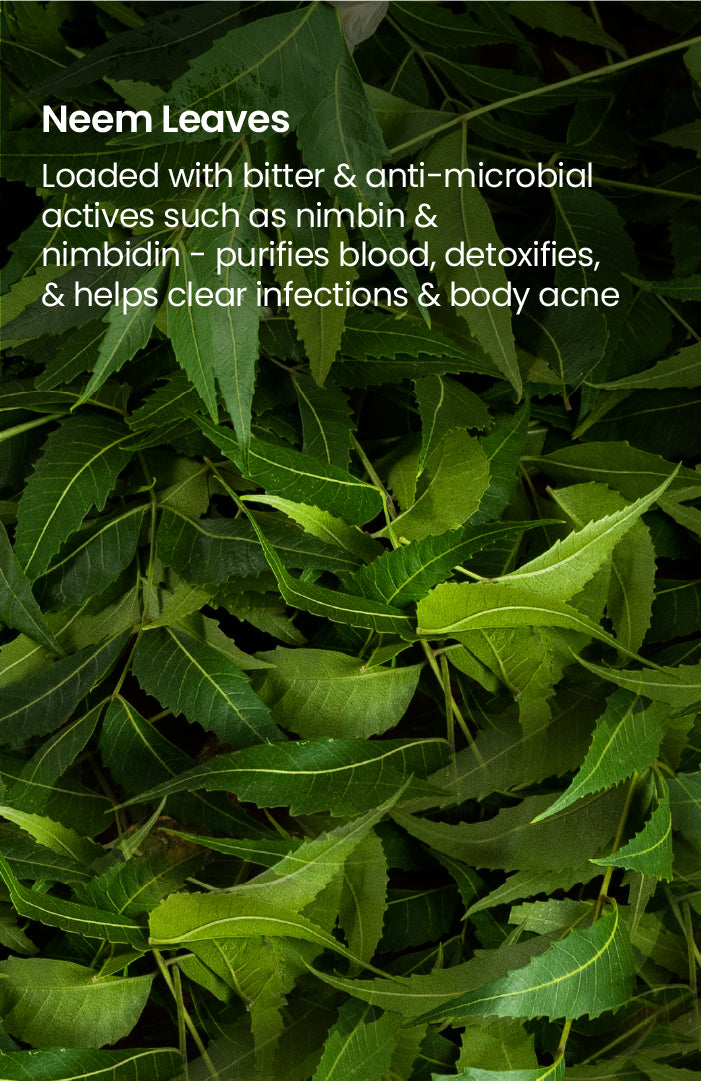 Cold Processed Acne-proof Neem-Basil Salicylic Soap 125g×1個