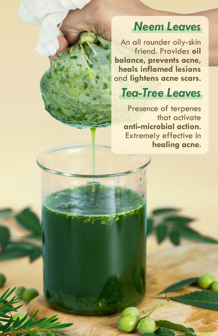 Fresh Neem TeaTree Anti-Acne Gel Face Pack 80g × 1個パック