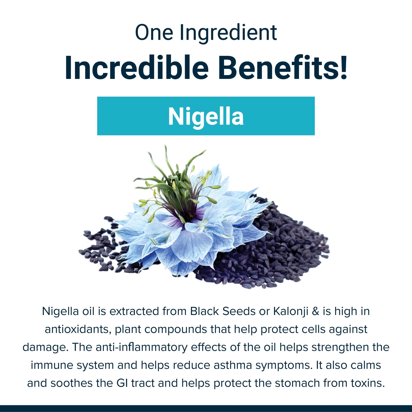 SupaSupp Nigella Oil Immuno Protector | Builds Immunity And Strength, Promotes Healthy Cell Growth And Overall Wellbeing | Health Supplement | 60 Veg Cap, 500 mg 500mg
