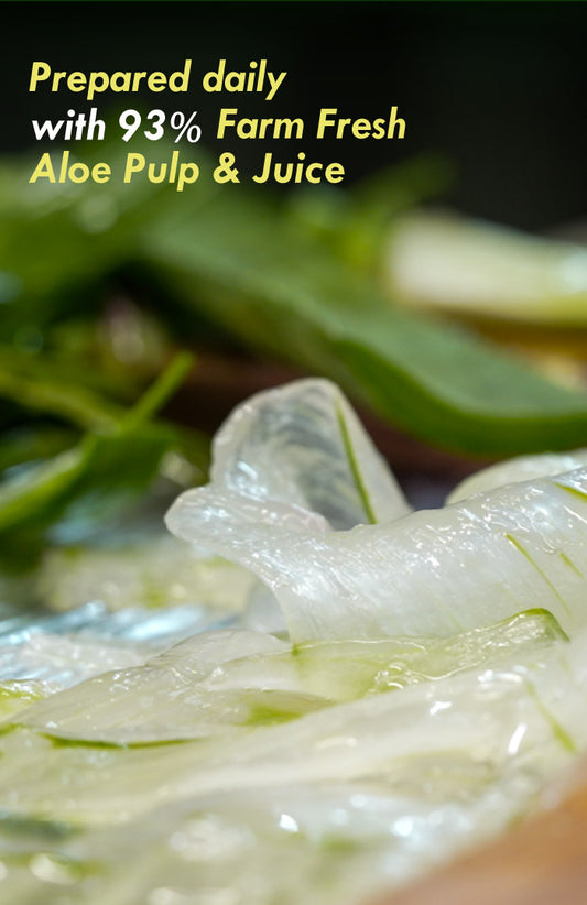 Fresh Olive Vit-E Night Gel Face Pack 80g × 2
