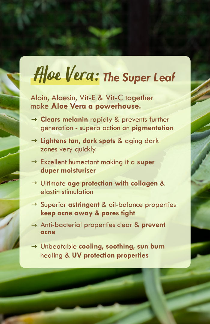 Fresh Olive Vit-E Night Gel Face Pack 80g × 1