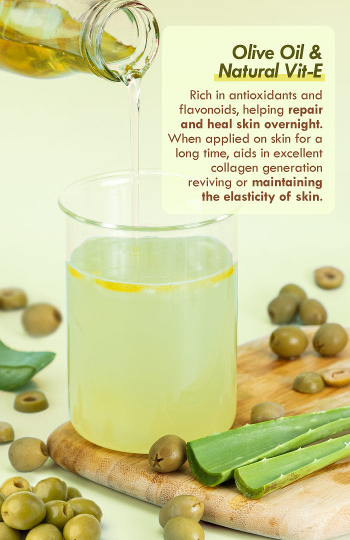 Fresh Olive Vit-E Night Gel Face Pack 80g × 1
