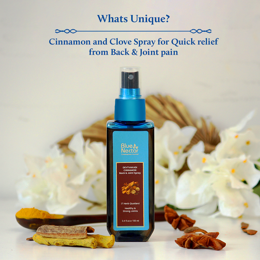 Body Pain Relief Spray with Clove & Cinnamon (100ml, 17 Herbs) 100ml
