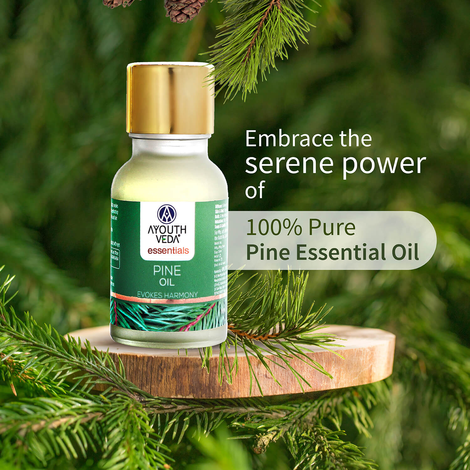 100% Pure Pine Essential Oil | Therapeutic-Grade Forest-Fresh Aroma | Refreshes Mind, Eases Fatigue & Uplifts Senses | Ideal for Diffusion & Aromatherapy | 15 ml 15ml