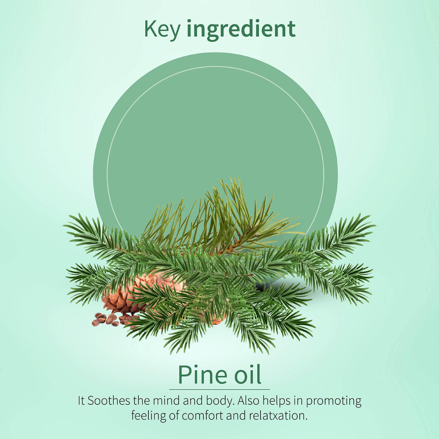 100% Pure Pine Essential Oil | Therapeutic-Grade Forest-Fresh Aroma | Refreshes Mind, Eases Fatigue & Uplifts Senses | Ideal for Diffusion & Aromatherapy | 15 ml 15ml