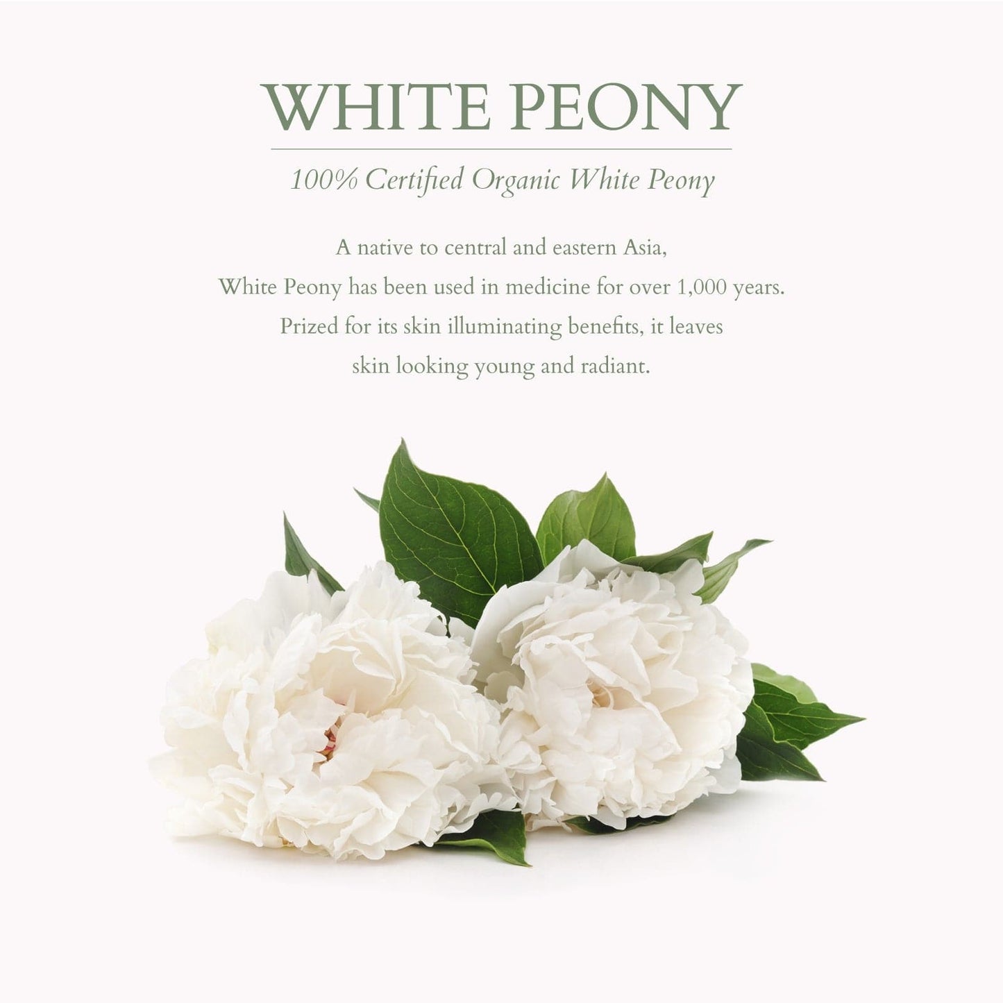 Precious Brightening Glow Discovery Set 