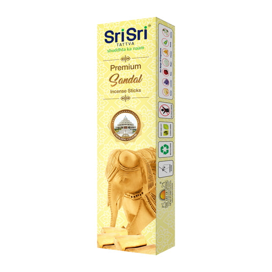 Premium Sandal Incense Sticks For Pooja | 55 Agarbatti Sticks | Fragrances – Natural Sandal | 100 g 100g