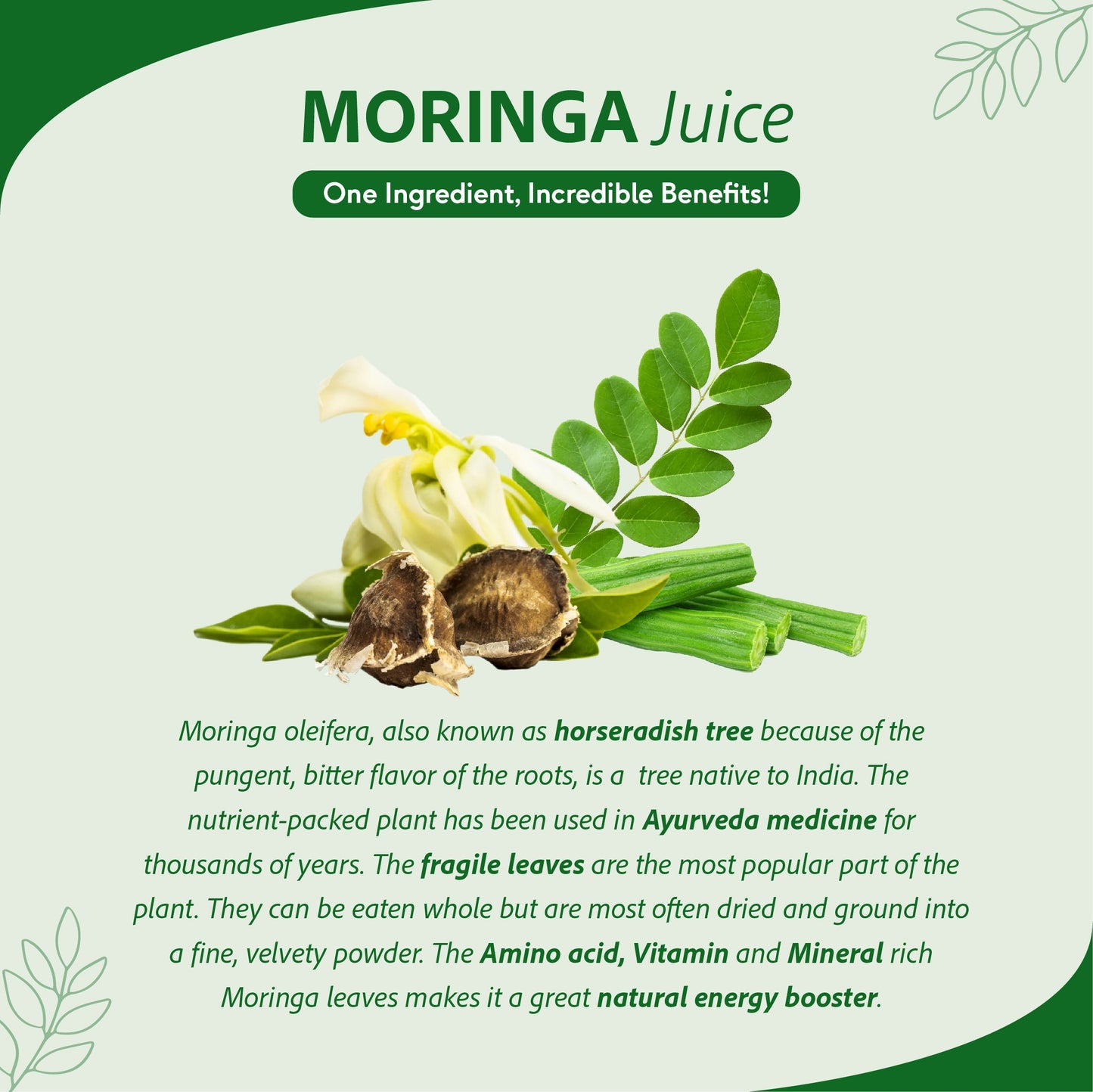 Moringa Juice - Powerhouse Of Nutrients | Superfood, Rich In Vitamin A,C,B, Calcium, Iron And Antioxidants, Blood Purifier | 1 L 1L