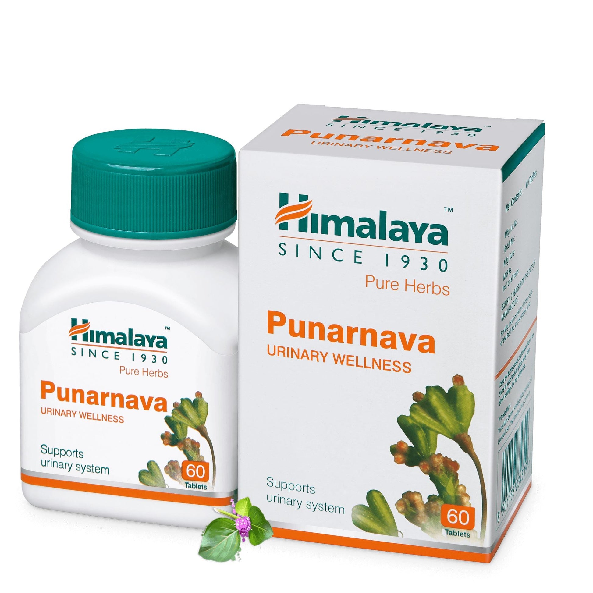 Punarnava 60 Tablets