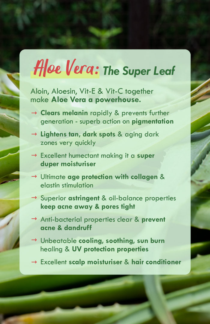 Pure Aloe Vera Gel 80g x 1パック