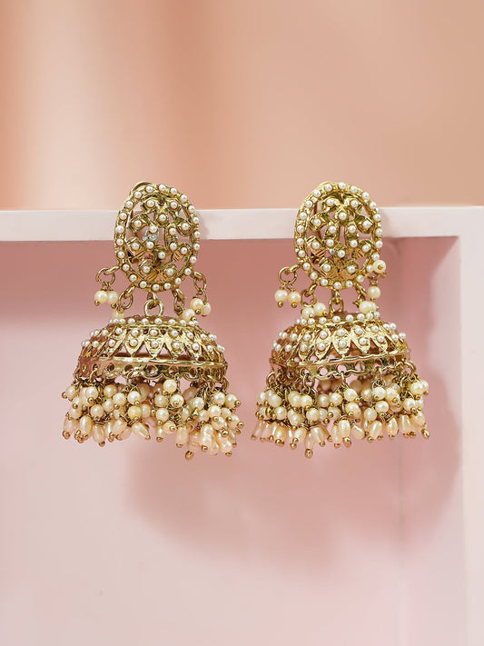 Pearl Embellished Gold Toned Jhumkas フリーサイズ