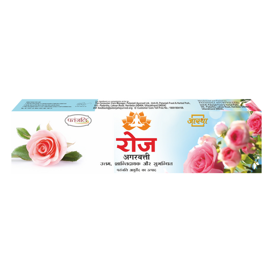 Aastha Agarbatti Rose (150 g) 16g
