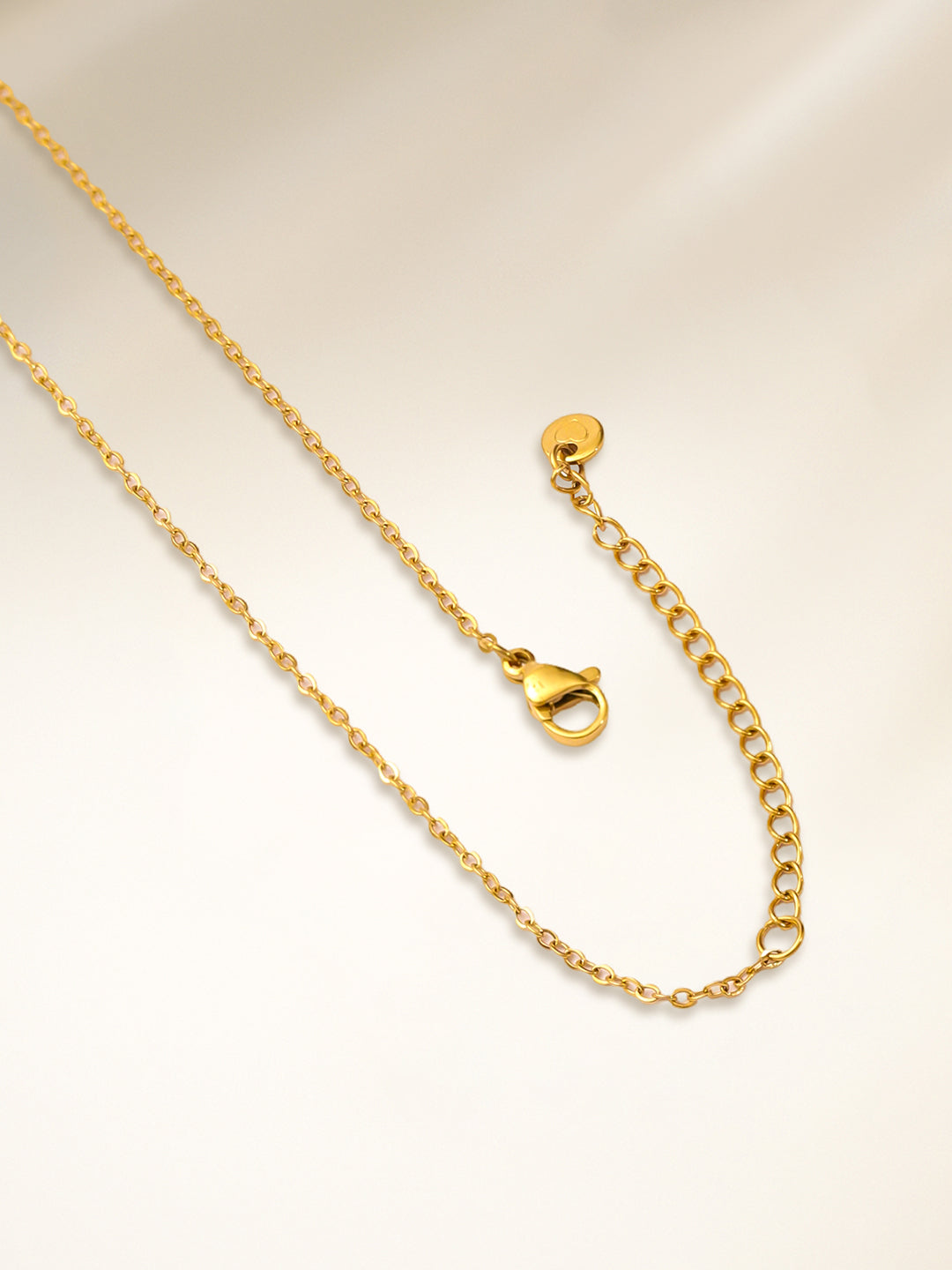 Gold Toned Butterfly Charm Necklace フリーサイズ