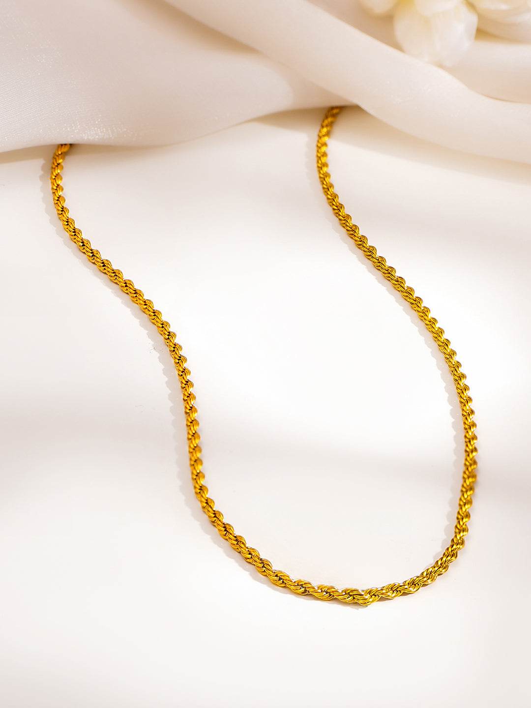 Demi Fine 18K Gold Plated Stainless steel Rope Chain Necklace Length - 19.3 cm